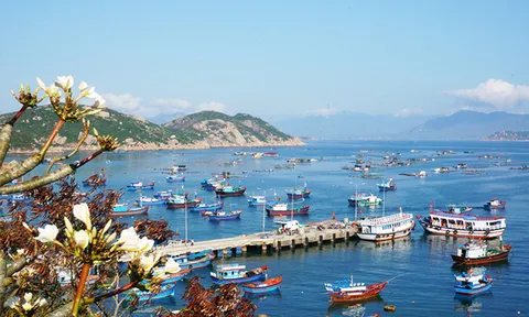 Bến du thuyền quốc tế Cam Ranh – Biểu tượng mới của du lịch tàu biển Việt Nam