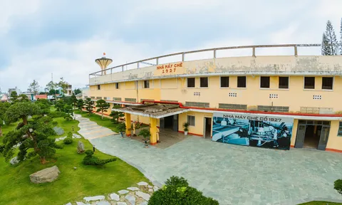 Gần 30 Công ty Lữ hành Khánh Hòa tham gia khảo sát du lịch Lâm Đồng - Hành trình kết nối “biển – rừng”