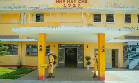 Khám Phá Nhà máy Chè 1927 – Dấu ấn trăm năm giữa cao nguyên Lâm Đồng
