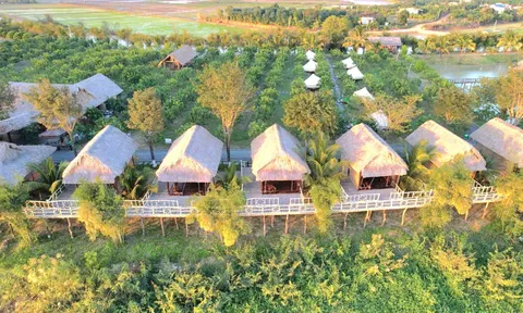 ĐẢO XANH ECOFARM – HÀNH TRÌNH TRẢI NGHIỆM DU LỊCH SINH THÁI NÔNG NGHIỆP GIỮA LÒNG SÔNG SÊRÊPÔK