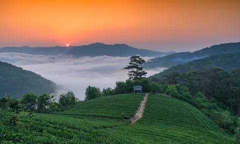 Đà Lạt lọt Top 7 điểm ngắm bình minh đẹp nhất thế giới do tạp chí National Geographic bình chọn