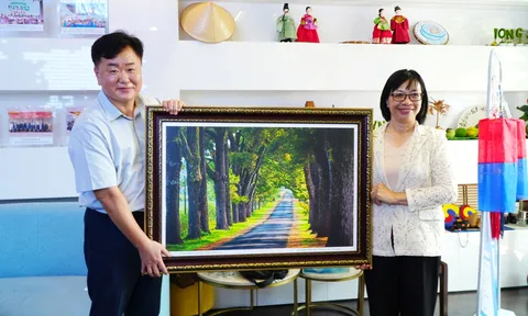 Gia Lai thúc đẩy hợp tác với Hàn Quốc trên nhiều lĩnh vực