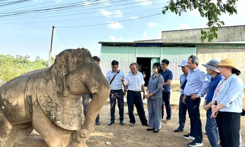 Gia Lai đánh thức di sản để mở rộng bản đồ du lịch