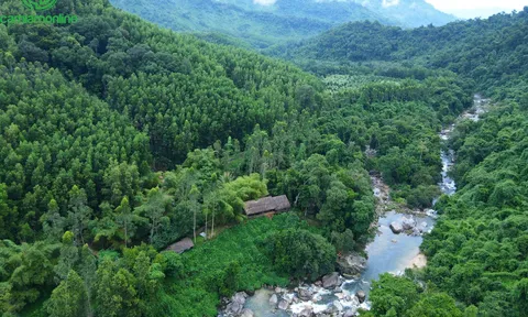 Kong Forest tung ưu đãi lớn nhất từ trước đến nay, đưa du lịch trải nghiệm đến gần hơn với khách Việt