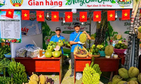 Đông Khánh Sơn gọi mời du khách: Săn mây, thưởng trái ngọt, khám phá văn hóa Raglai