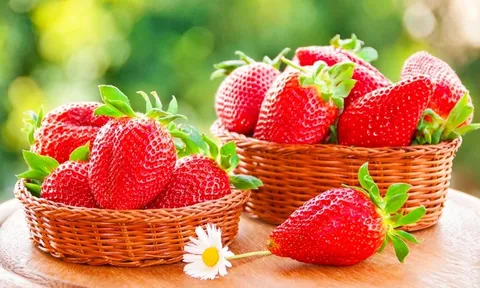 Các đặc sản xứ ngàn hoa mà bạn nên mua làm quà khi đến nơi đây
