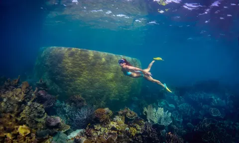 Ningaloo: Thiên đường kỳ lạ và độc đáo