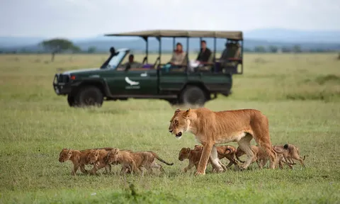 Diện mạo mới của Grumeti Serengeti River Lodge của AndBeyond