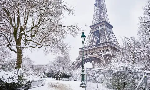 Những hoạt động nhất định phải tham gia khi đến thăm "Kinh đô ánh sáng Paris"