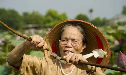 Sợi tơ sen mang “hồn túy” của người Việt