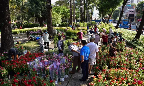 Top các khu chợ hoa ngày tết nổi danh nhất Sài Gòn (Phần 1)