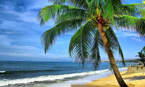 Top những bãi biển đẹp nhất ở TP.Phan Thiết (Bình Thuận)