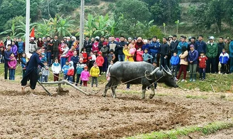 Lễ hội Xuân Lào Cai: bản hòa ca văn hóa giữa núi rừng Tây Bắc