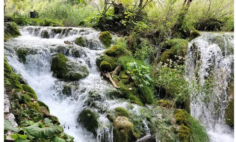 Đi bộ trong công viên quốc gia Plitvice Lakes của Croatia