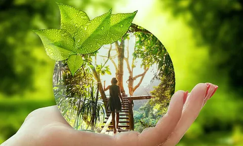 Tác động đến du lịch: Hội đồng Du lịch & Lữ hành Thế giới (WTTC) xây dựng Nguyên tắc phát triển bền vững cho ngành khách sạn.