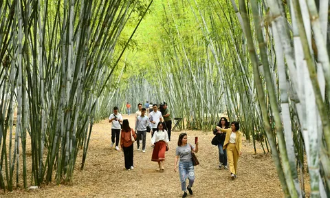 Trải nghiệm tuyến du lịch văn hóa kết nối Hà Nội và Bắc Giang