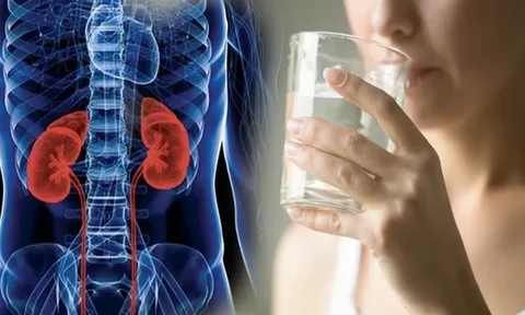 Thói quen hủy hoại thận mỗi ngày bạn cần sửa ngay