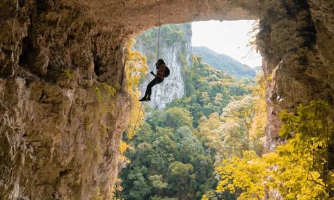 Xôn xao sự việc hướng dẫn viên Jungle Boss bị tố nhiều lần xông vào lều khách nữ và có hành vi quấy rối giữa đêm