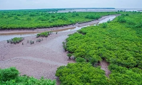 Cấm các trường học ở Hà Nội tổ chức hoạt động trải nghiệm mang tính tự phát