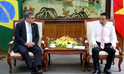 Việt Nam và Brazil tăng cường thúc đẩy hợp tác văn hóa, thể thao, du lịch