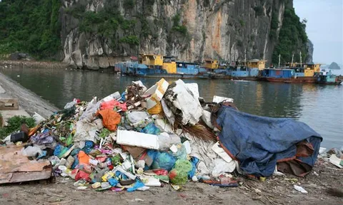 Hình ảnh vịnh Hạ Long "ngập" rác lên báo nước ngoài
