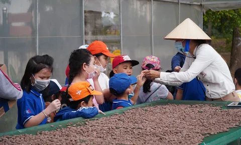 Du lịch nông nghiệp: "Làn gió mới" hấp dẫn du khách