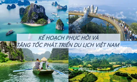 Hiệp hội Du lịch Việt Nam tích cực triển khai Nghị quyết 82 của Chính phủ về phục hồi và phát triển du lịch