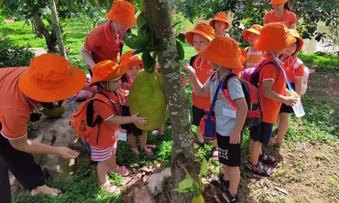 Tìm lối ra để thúc đẩy phát triển du lịch gắn với nông nghiệp, nông thôn