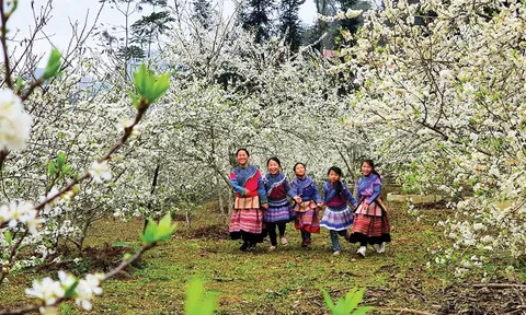 Đặc sắc Festival Cao nguyên trắng Bắc Hà năm 2023