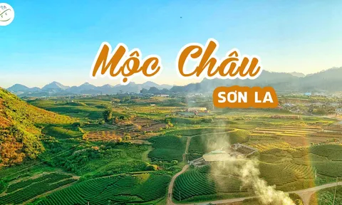 Tuần Văn hóa -  Du lịch Mộc Châu 2023 sẽ được tổ chức thường niên vào dịp lễ 2/9