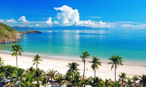Vũng Tàu và Nha Trang lọt top những bãi biển được check-in nhiều nhất trên mạng xã hội