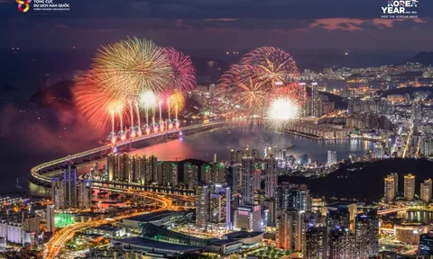 Thị trường Việt Nam là một thị trường quan trọng mà Busan không thể bỏ lỡ