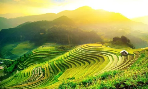 Đến với ruộng bậc thang Hoàng Su Phì theo “Tiếng gọi mùa vàng”
