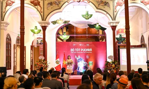 Độc đáo triển lãm gốm thủ công Peru mang tên "Bò tót Pucará"