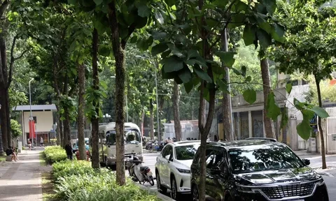 TP.HCM chỉ đạo xử lý việc hàng trăm công viên thiếu bãi giữ xe