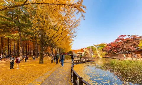Top 9 địa điểm trải nghiệm mùa thu tuyệt vời nhất Hàn Quốc