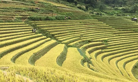 Sống chậm ở Mù Cang Chải
