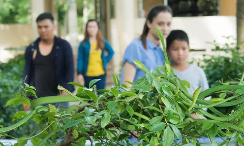 Mục sở thị "vương quốc của loài rắn" tại khu bảo tồn lớn nhất Nam Bộ