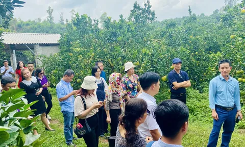 Du lịch nông thôn, miệt vườn Bắc Giang có nhiều tiềm năng