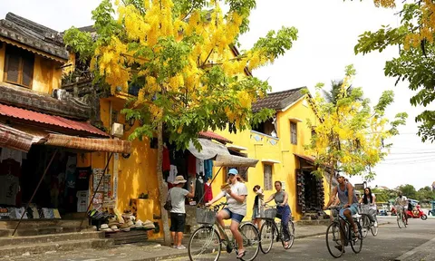 Lượng tìm kiếm quốc tế về Du lịch Việt Nam trong năm 2023 tăng nhanh thứ 6 thế giới