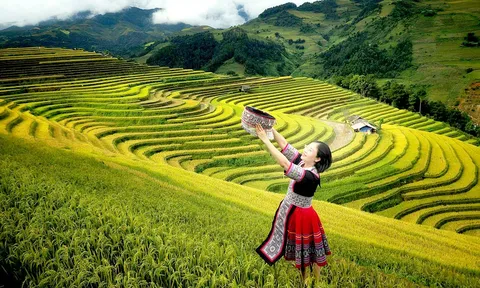 Mù Cang Chải: Doanh thu du lịch đạt 365 tỷ đồng