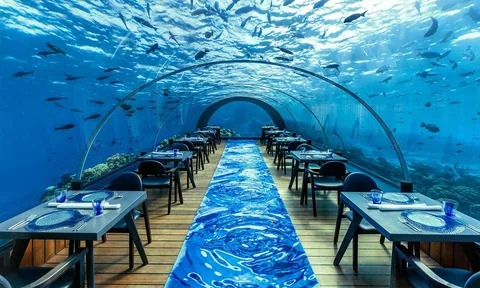 Khám phá lòng đại dương huyền bí tại 5 nhà hàng dưới biển vùng Maldives