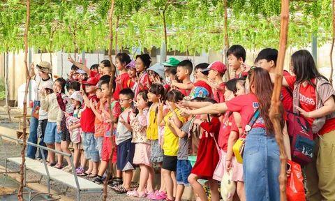 Hỗ trợ 3.000 trẻ em khó khăn trong chương trình “Trao Xuân yêu thương” năm 2024