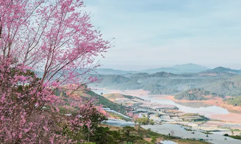 10 điểm đến được khách trong nước yêu thích nhất dịp Tết Nguyên đán: TPHCM xếp thứ 6
