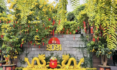 Đàm Vĩnh Hưng trang hoàng biệt thự 60 tỷ lộng lẫy, Jun Phạm khéo léo bày biện đón xuân