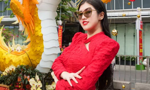 Hoa hậu Emily Hồng Nhung diện áo dài rạng rỡ du xuân