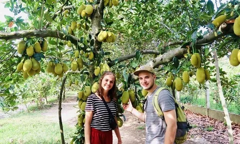 Nhiều sản phẩm du lịch nông nghiệp, nông thôn hấp dẫn du khách