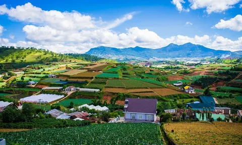 Lâm Đồng: Hàng loạt chương trình ưu đãi “Ngày vàng”, “Giờ vàng" cho khách du lịch