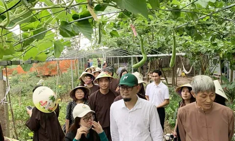 Phát triển du lịch bền vững cần cả ba yếu tố kinh tế, văn hóa và môi trường
