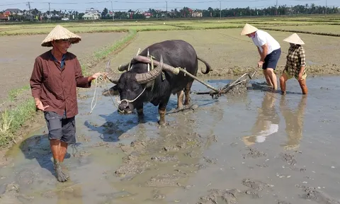 74% du khách Việt ưa chuộng các chuyến du lịch bền vững